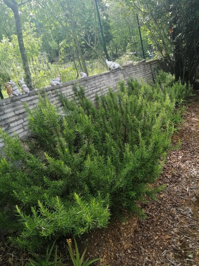 Apartments With A Parking Space Dramalj, Crikvenica - 5592 外观 照片