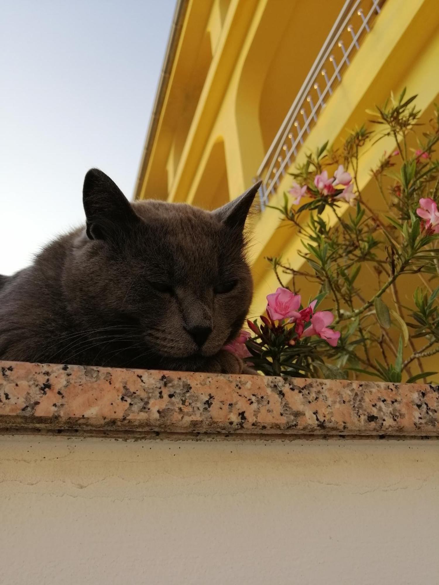 Apartments With A Parking Space Dramalj, Crikvenica - 5592 外观 照片